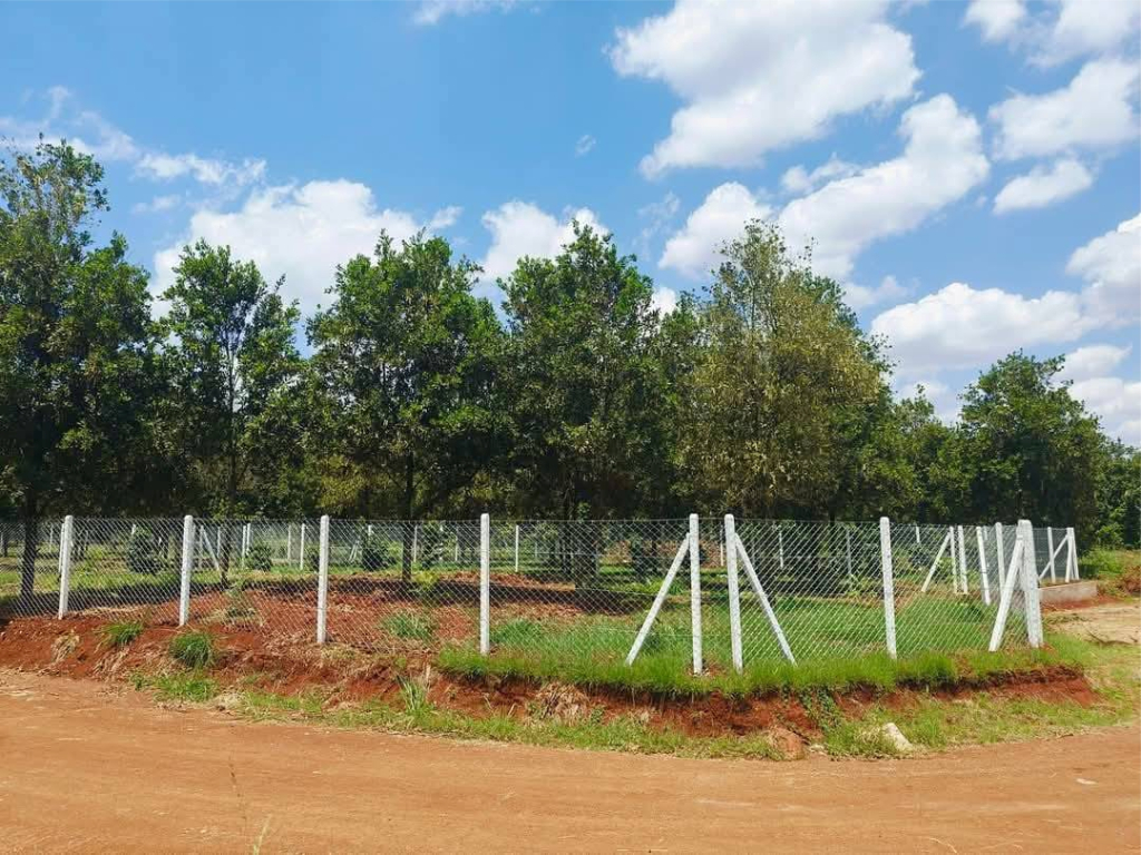Everything You Need to Know About Title Deeds and Land Ownership in Kenya 2