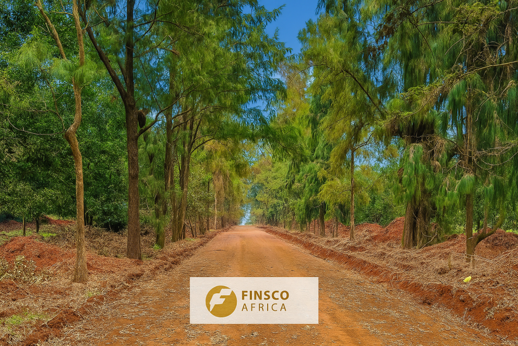 Plots for Sale in Juja: Why Vantage View Estate is a Smart Investment 8 ChatGPT Image Aug 28 2025 10 17 30 AM