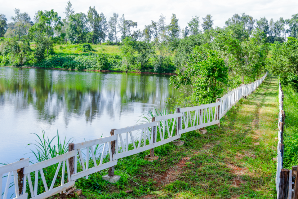 Vantage View Park – Juja 1/2 Acre Plots