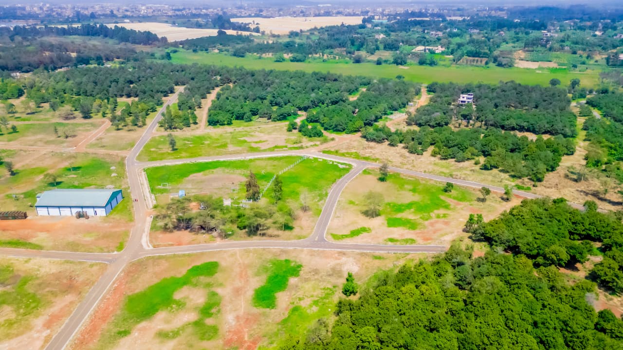 Thika Grove Chania -1/4 Acre Plots