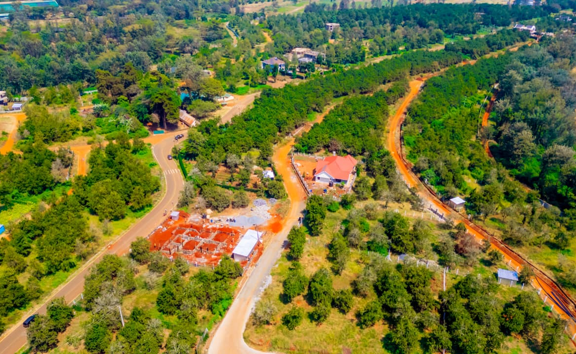 Thika Grove Chania -1/4 Acre Plots