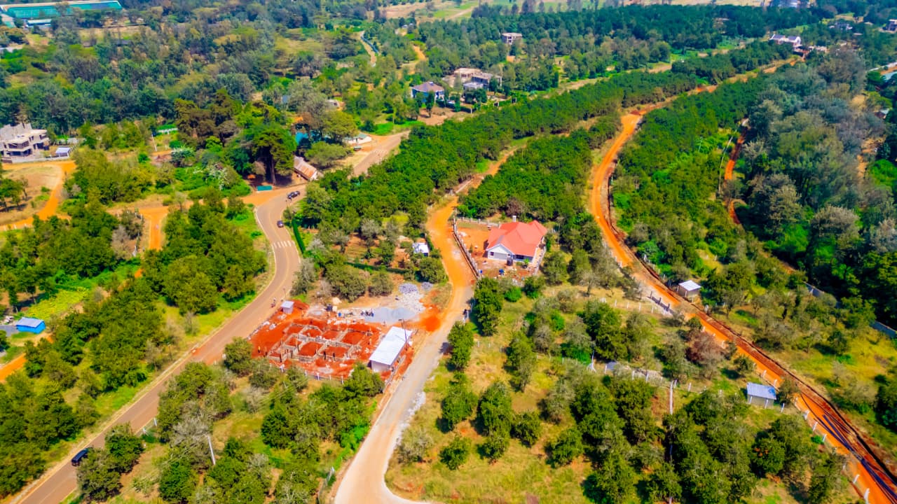 Thika Grove Chania -1/4 Acre Plots